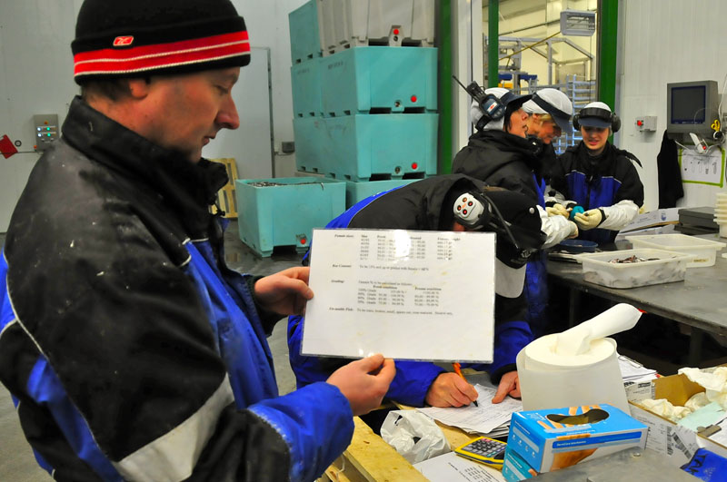 Scandinavie, Norvge, Sude, Finlande